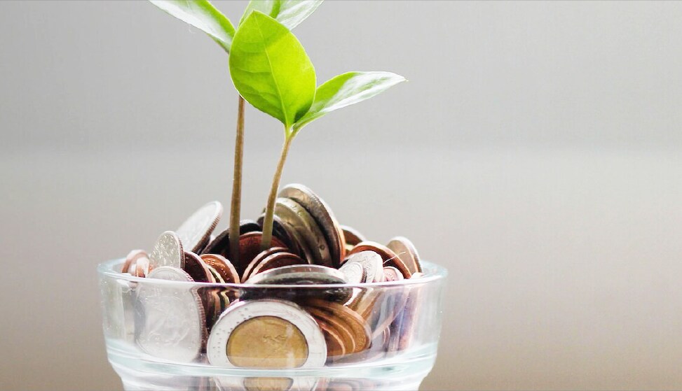 YORK Residential Products Savings Blog