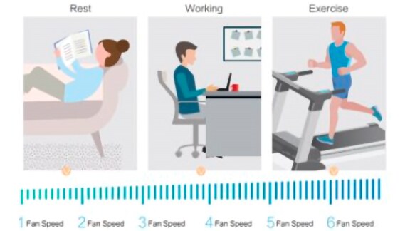 6 Fan Speed by York